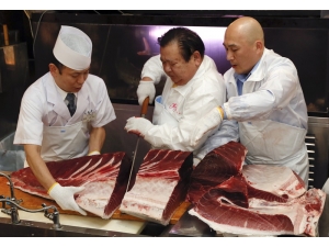Tokyo’da Orkinos Balığı 11 Milyon Liraya Satıldı
