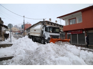 Başkale Belediyesi Bin 500 Kamyon Kar Taşıdı
