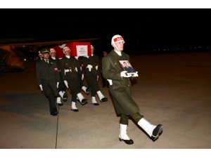 Şehit Asker Memleketi Şanlıurfa’ya Getirildi