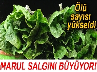 ABD'de maruldan ölenlerin sayısı 5 yükseldi