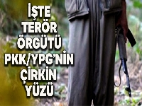Terör örgütü PKK/YPG'nin çirkin yüzü bir kez daha ortaya çıktı