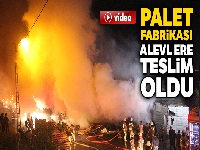 Küçükçekemece'de palet fabrikası alevlere teslim oldu