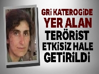 Gri kategoride yer alan terörist etkisiz hale getirildi
