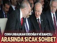 Cumhurbaşkanı Erdoğan ve Bahçeli arasında sıcak sohbet