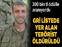 300 bin tl ödülle aranan Gri Listedeki terörist öldürüldü