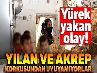 Yılan ve akrep korkusundan uyuyamıyorlar
