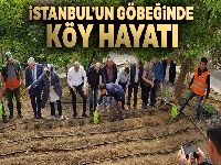 İstanbul'un göbeğinde köy hayatı
