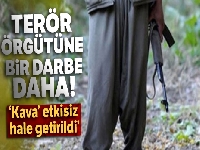 Terör örgütüne bir darbe daha: 'Kava' etkisiz hale getirildi