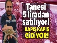 Tanesi 5 liradan satılıyor! Denizi olmayan kentte kapış kapış gidiyor