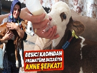 Besici kadından prematüre buzağıya anne şefkati