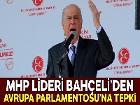 MHP'den Avrupa Parlamentosuna tepki
