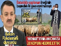 Bakan Pakdemirli: 'Mehmet Emin amcamıza 20 koyun hediye ettik'