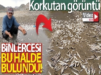 Adıyaman'da korkutan görüntü