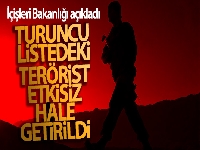 İçişleri Bakanlığı: 'Tunceli'de Turuncu Liste'de aranan terörist etkisiz hale getirildi'