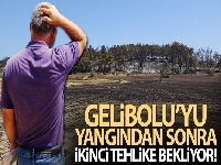 Gelibolu'yu yangından sonra ikinci tehlike bekliyor!