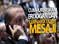 Cumhurbaşkanı Erdoğan, Lübnan Cumhurbaşkanı Mişel Avn ile görüştü