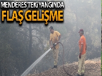 Menderes'teki orman yangınıyla ilgili flaş gelişme: O şahıs tutuklandı