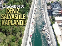 Kurbağalıdere de deniz salyası ile kaplandı