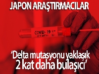 Japon araştırmacılar: 'Delta mutasyonu yaklaşık 2 kat daha bulaşıcı'