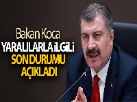 Bakan Koca orman yangınlarında hayatını kaybedenlerin sayısını açıkladı
