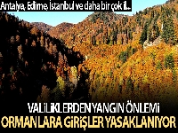 Valiliklerden yangın önlemi; Ormanlara girişler yasaklanıyor