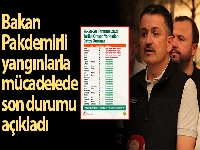 Bakan Pakdemirli: 'Toplam 85 orman yangınından 74 tanesi kontrol altına alındı'