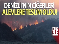 Denizli'deki orman yangını kısmen kontrol altına alındı