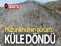 Isparta'daki Çandır köyünde söndürülen alanlar havadan görüntülendi