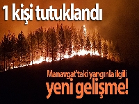 Manavgat'taki yangınla ilgili bir kişi tutuklandı