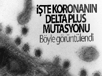 Rusya'da korona virüsün Delta Plus mutasyonu görüntülendi