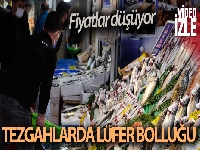 Balık tezgahlarında lüfer bolluğu devam ediyor