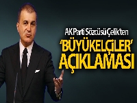 AK Parti sözcüsü Ömer Çelik'ten 'Büyükelçiler' açıklaması
