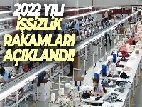 İşsizlik oranı 2022 yılında yüzde 10,4 oldu