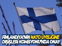 Finlandiya'nın NATO üyeliği Dışişleri Komisyonu'nda kabul edildi