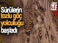 Sürülerin tozlu göç yolculuğu başladı