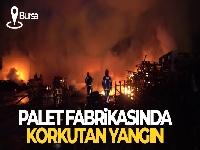 Bursa'da palet fabrikasında korkutan yangın