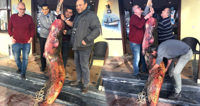 İznik Gölü'nden 2 Metre 10 Santim Boyunda Dev Yayın Balığı Çıktı