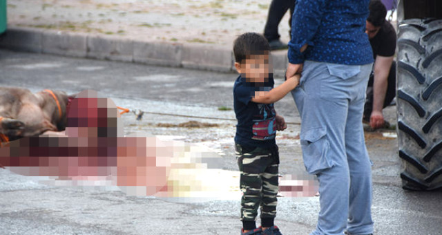 Kurban Bayramı'nda Yurdun Dört Bir Yanında Aynı Manzara! Yasak Olan Yerlerde Kesim Yaptılar