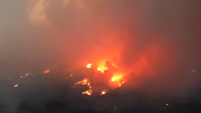 Kastamonu'da Orman Yangını: 20 Dönümlük Alan Kül Oldu