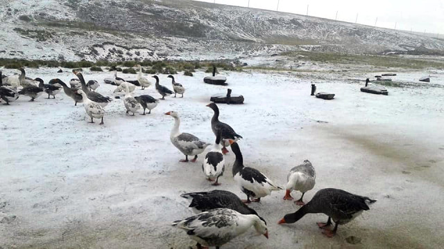 Ardahan'ın Çıldır İlçesinde Vakitsiz Yağan Kar, Vatandaşları Şaşırttı
