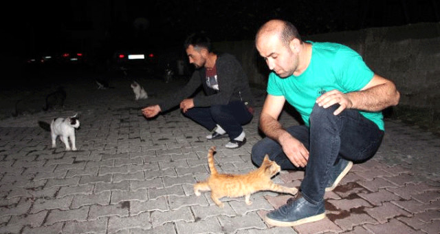 Kedileri Çuvala Koymaya Çalışırken Görüntülenen Madenci Kendini Savundu: Kötü Bir Niyetim Yoktu