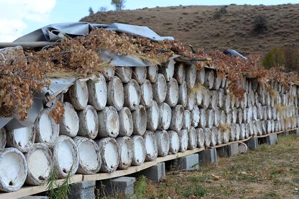 Bitlis'in Hizan İlçesinde Üretilen Karakovan Balı İlçe Ekonomisine Yaklaşık Bir Milyon Lira Katkı Sağlıyor