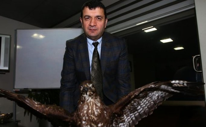 Erdal Torunoğulları: