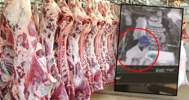 Et Üretim Fabrikasında Çekilen İdrar Yapma Görüntüleri Mide Bulandırdı