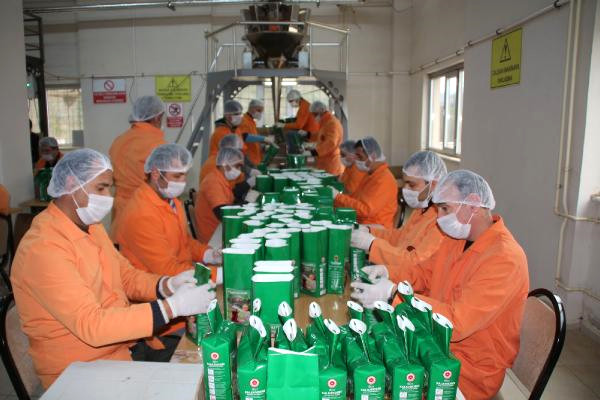 Cezaevinde Üretilen 'sayılı Gün' Çayı, Yok Satıyor! Yıllık 1,5 Milyon Lira Gelir Elde Ediliyor