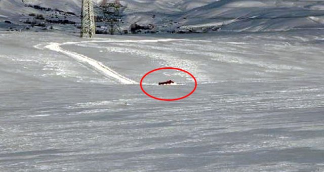 Bingöl'de Paletli Araç, Buzun Kırılmasıyla Suya Gömüldü