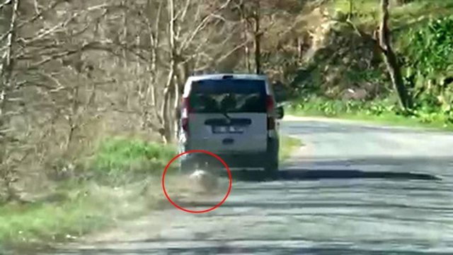 Ölü Köpeği Aracının Arkasında 2 Kilometre Sürükledi
