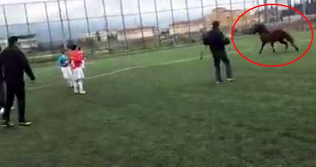 Futbol Turnuvasında Sahaya Giren At Korku Dolu Anlar Yaşattı