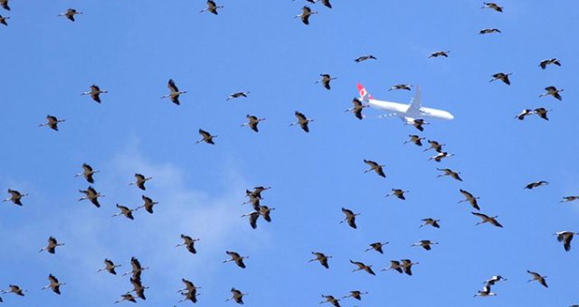 İstanbul Hava Sahasında Göç Alarmı Verildi