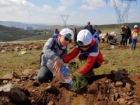 Öğrenciler Fidan Dikti